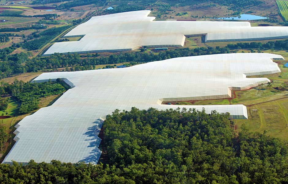Protection of large scale crops